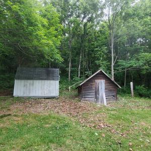 Shed-Chicken Coup