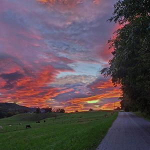 Beautiful Sunsets