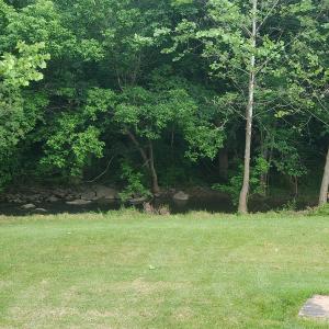 The Creek